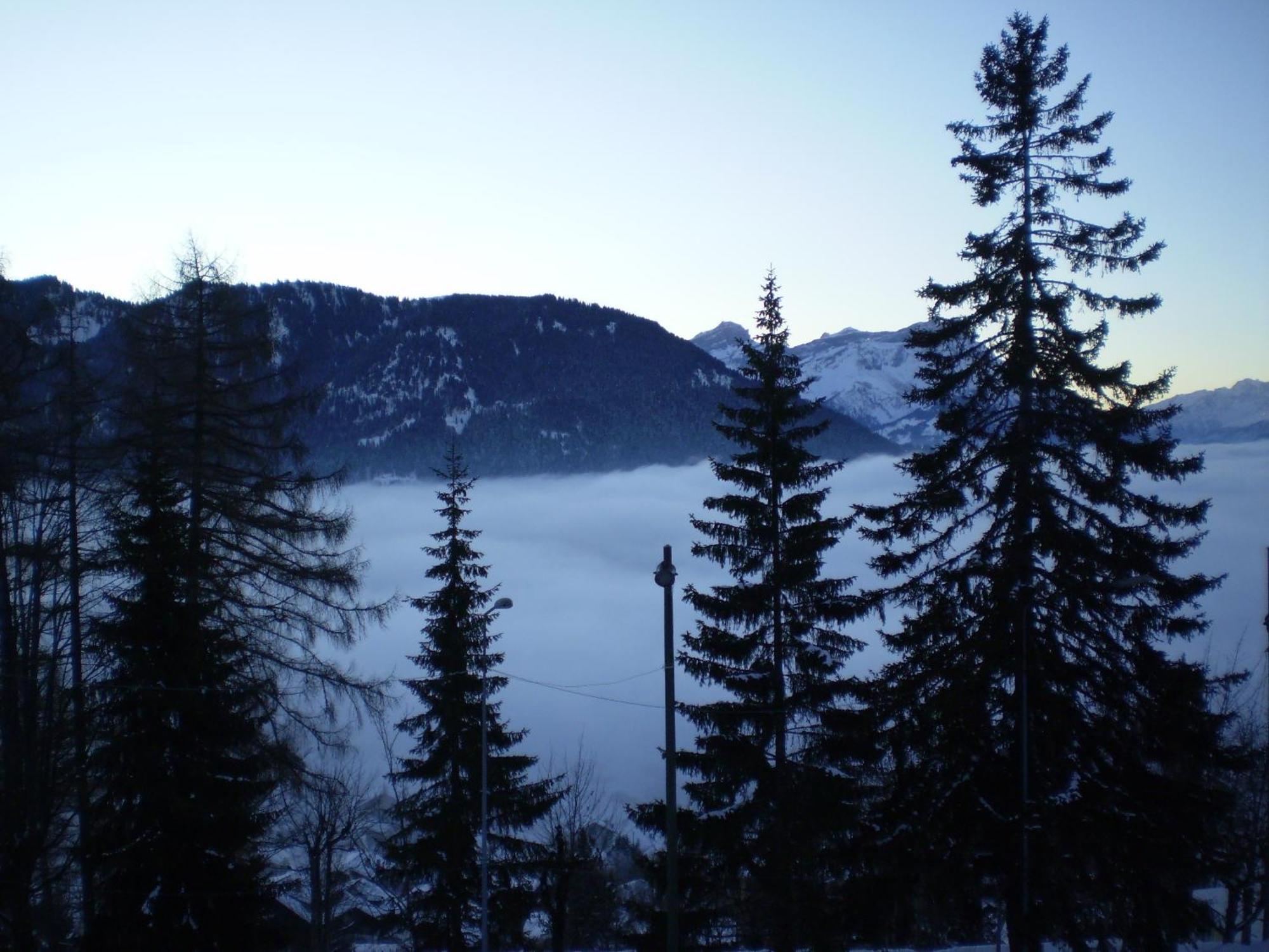 Residences Du Chamossaire Leysin Εξωτερικό φωτογραφία